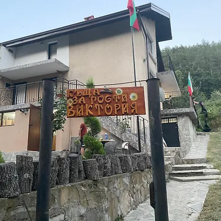 виктория Sliwito